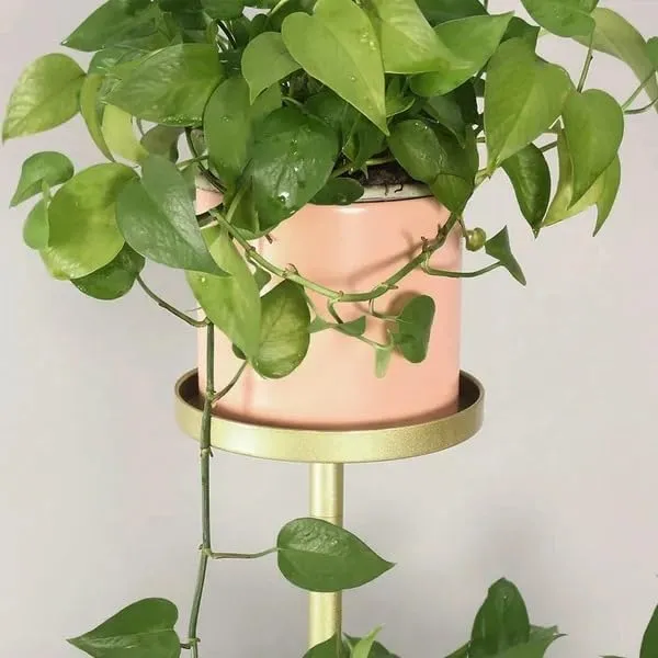 Metal_Plant_Stand_With_Marble_Base