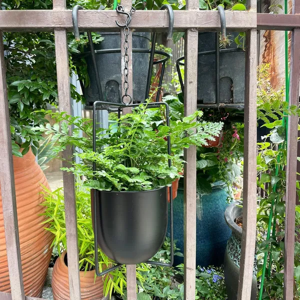 Metal_Bolo_Hanging_Planter