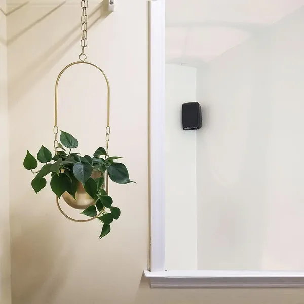Hanging_Plant_Hanger