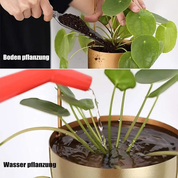 Hanging_Plant_Hanger