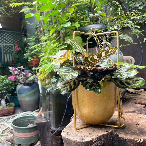 Metal_Hanging_Planter_Basket