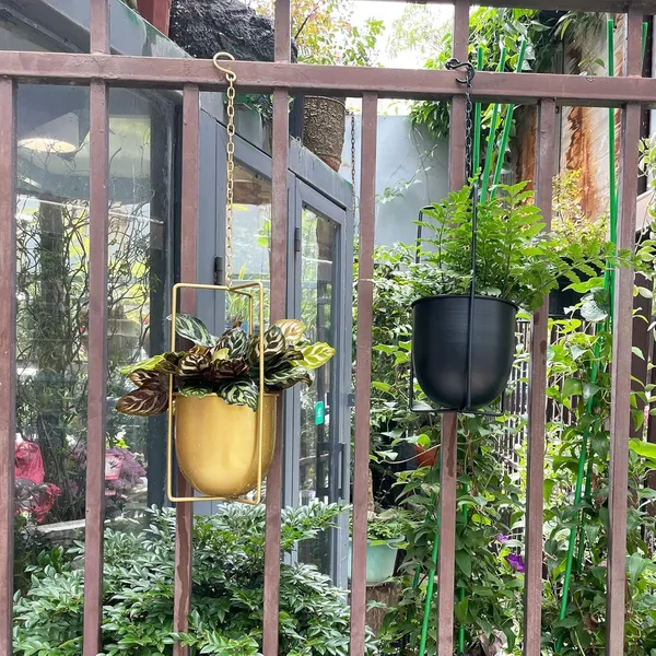Metal_Hanging_Planter_Basket
