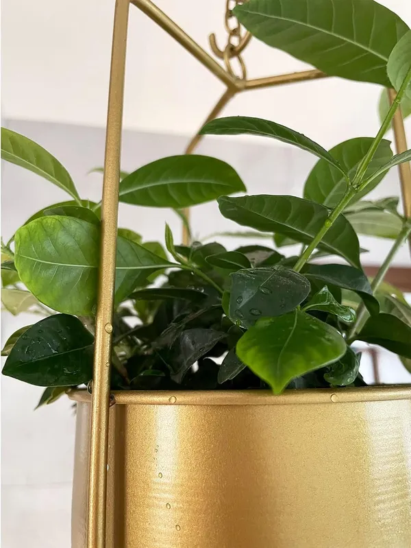Metal_Hanging_Planter_Basket