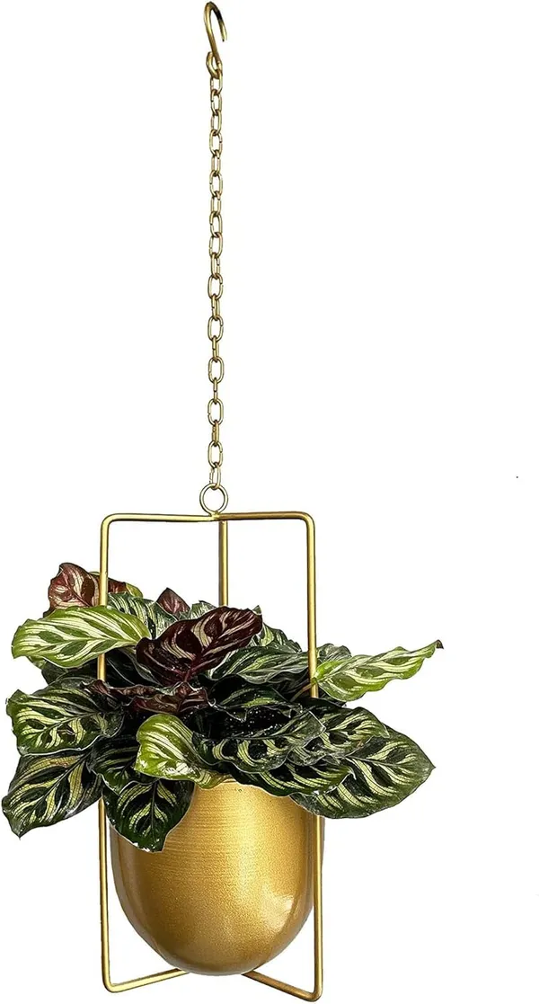 Metal_Hanging_Planter_Basket
