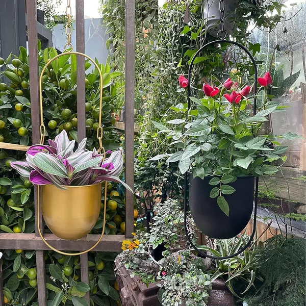 Hanging_Plant_Hanger