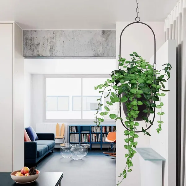 Hanging_Plant_Hanger