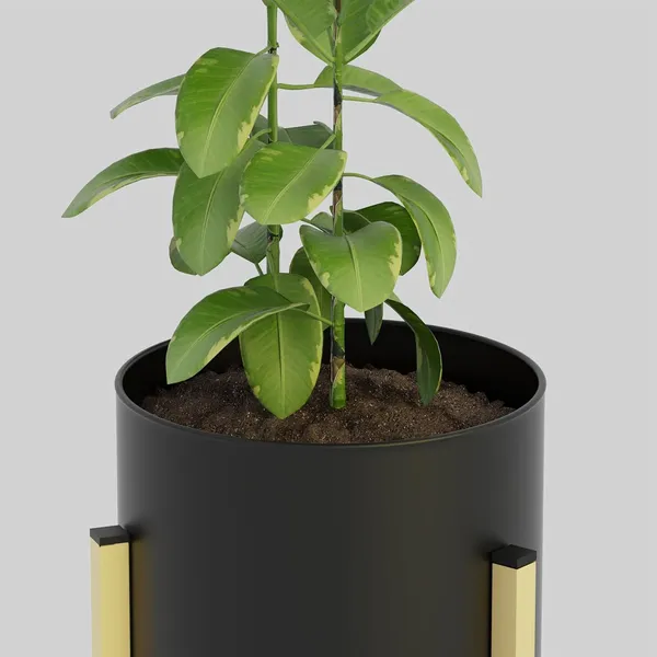 Metal_Plant_Stand_With_Pots_Set_Of_3