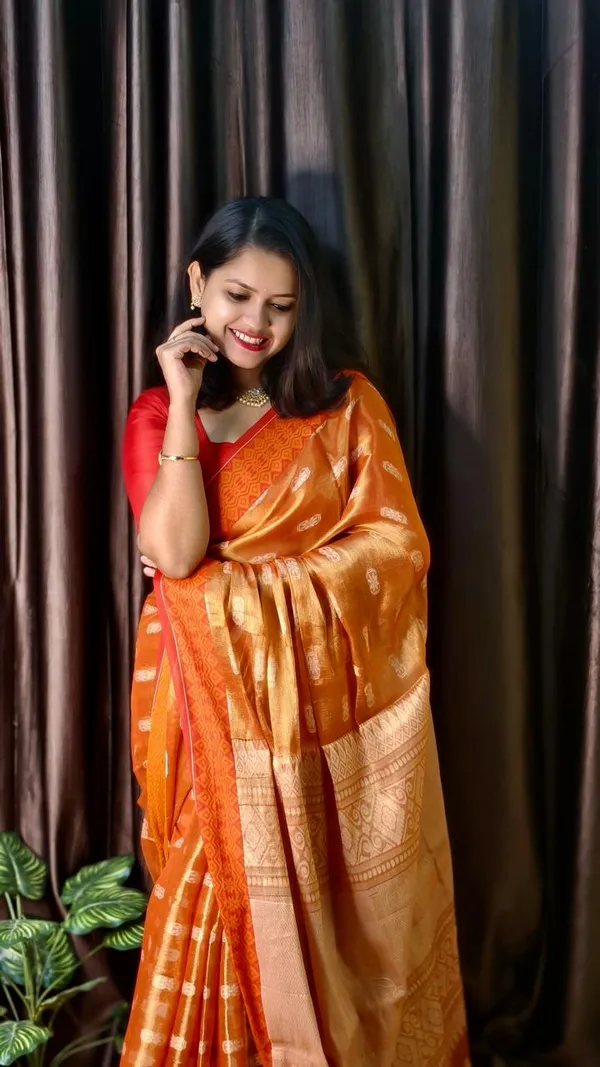 tissue_cotton_Saree