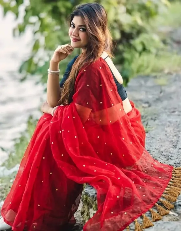 120_Count_Mul_Cotton_Gini_Work_Saree_Without_Blouse_Piece