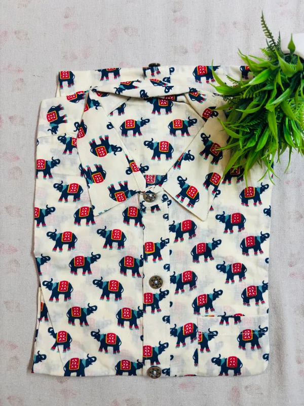 Nandrani_PRINTED_SHIRT