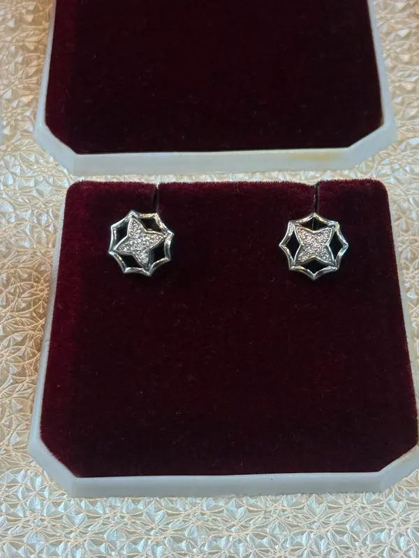 Silver_Sterling_Silver_92.5_Earrings_For_Women