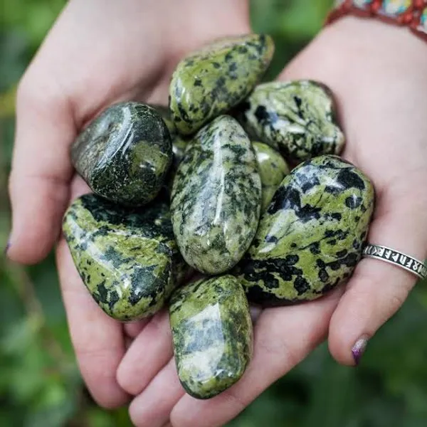 Pyrite_Turtle