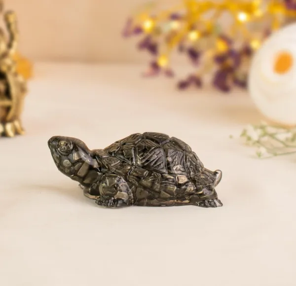 Pyrite_Turtle