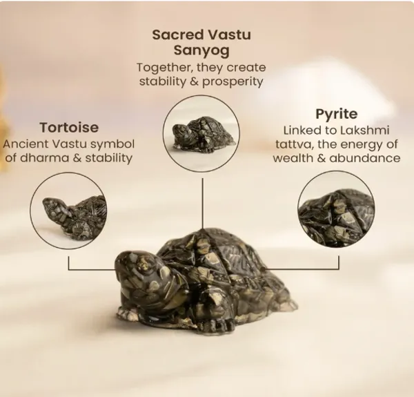 Pyrite_Turtle