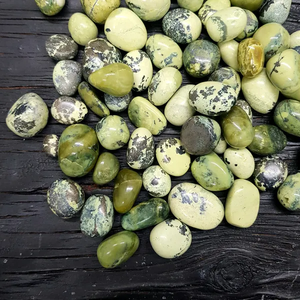 Pyrite_Turtle