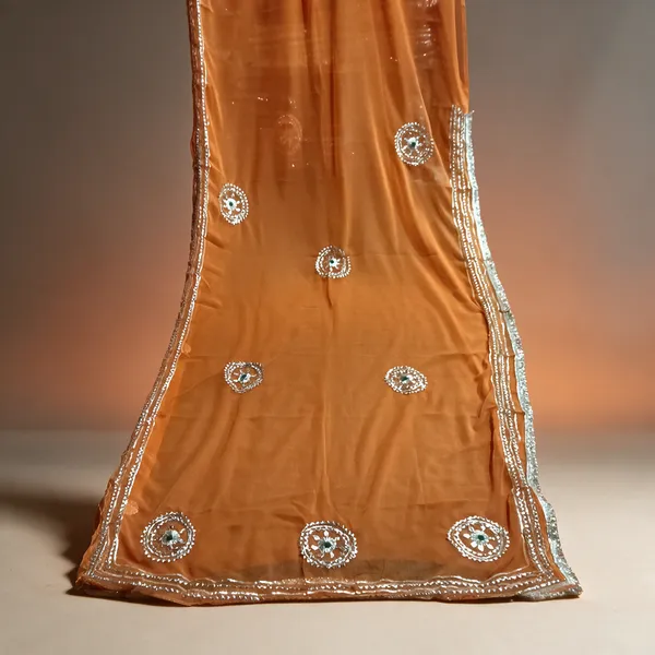 Orange_Embellished_Saree_For_Women