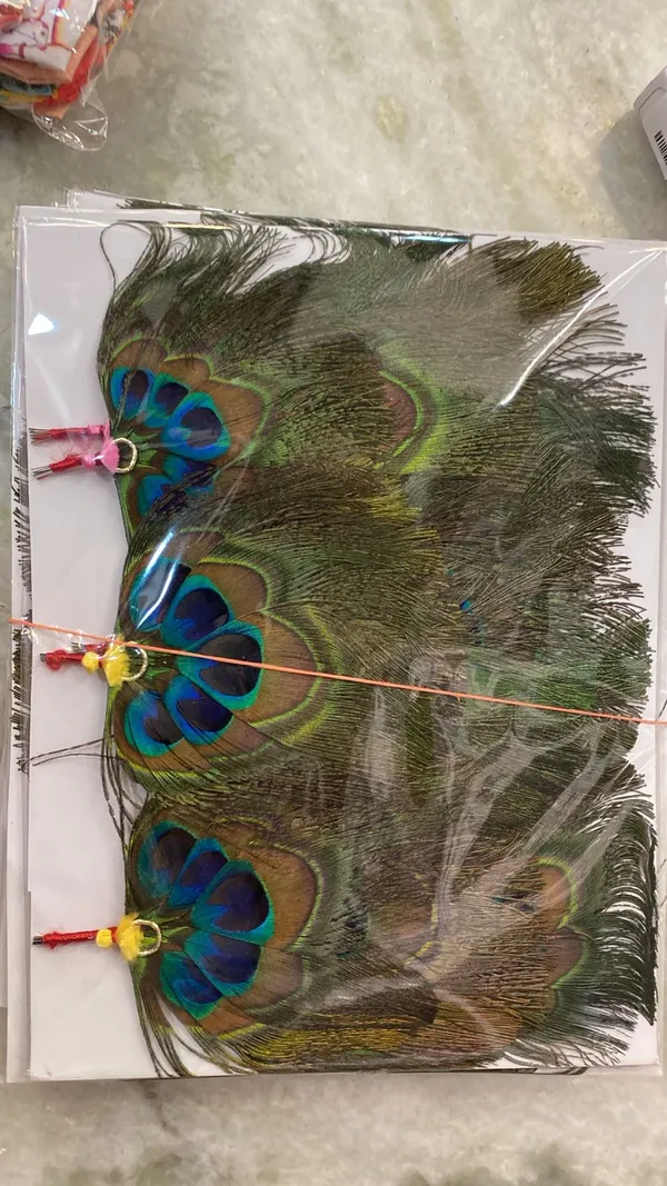 Peacock_Feather_Decorative_Hanging_Set