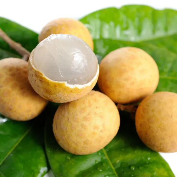 Khaki_Longan___Organic_Plant_For_Home