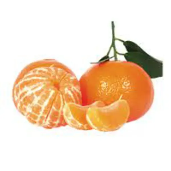 Mansi_Sweet_Orange_Organic_Plant