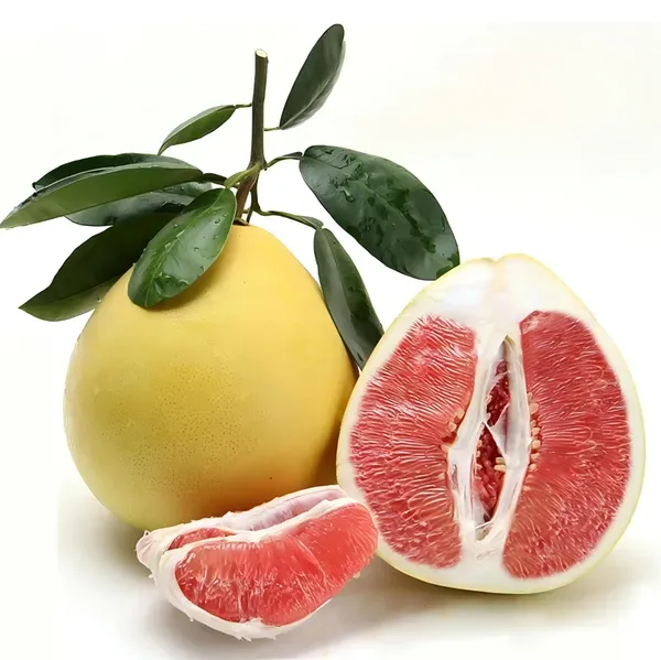 Assembly_Pamelo_Plant_Organic_Pomelo