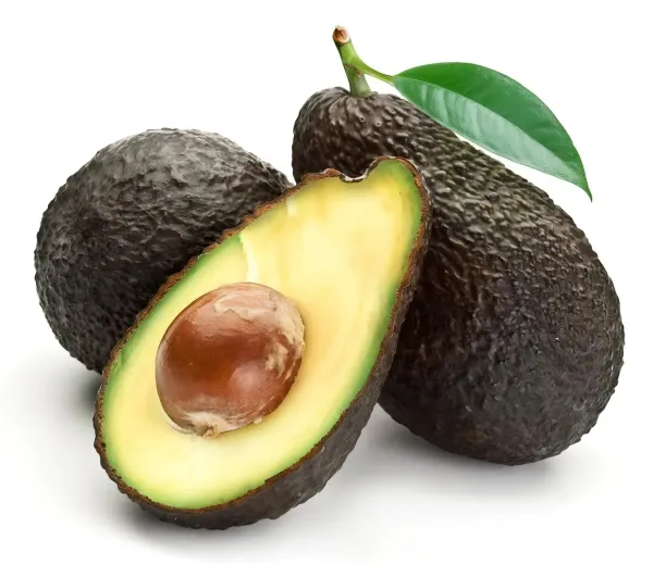 Avocado_Hass___Organic_Plant_For_Home