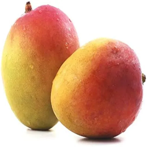Nellum_Mango___Organic_Plant_For_Home