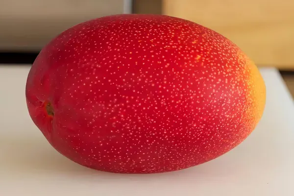 Ornamental_Sung_Mango_Organic_Plant