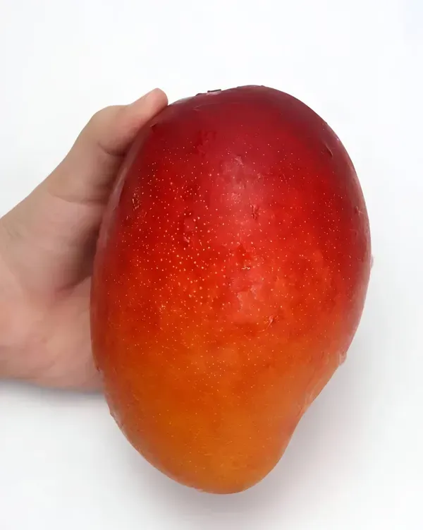 Ornamental_Sung_Mango_Organic_Plant