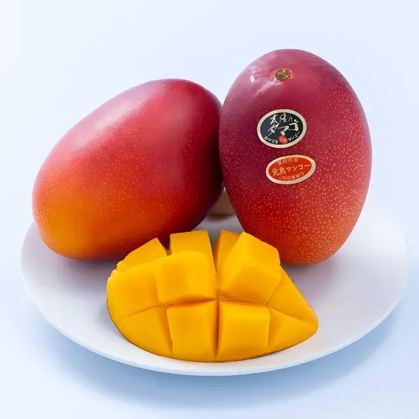 Ornamental_Sung_Mango_Organic_Plant