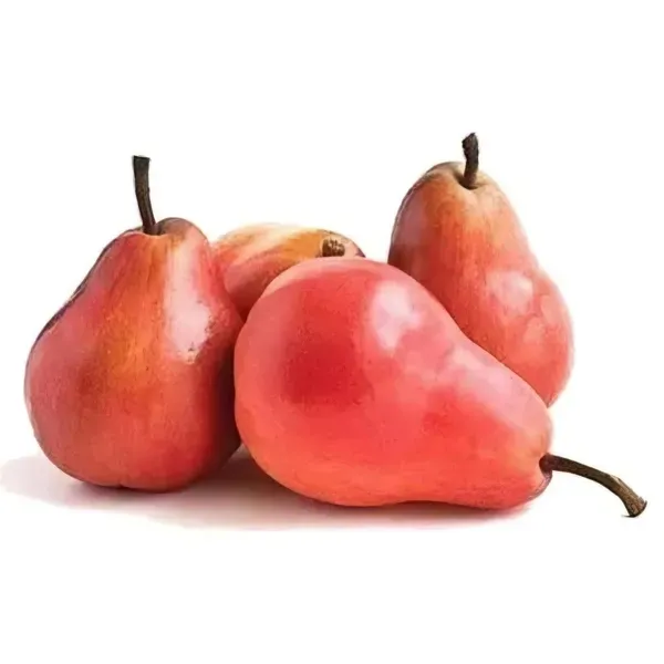 Babugosha_Red_Pear_Organic_Plant