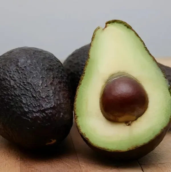 Hot_Climate_Avocado_Organic_Plant
