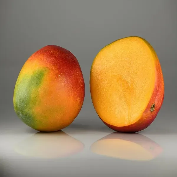 Ornamental_Mango___Organic_Plant_For_Home