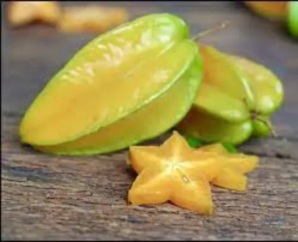 Ornamental_Star_Fruit_Plant_Organic