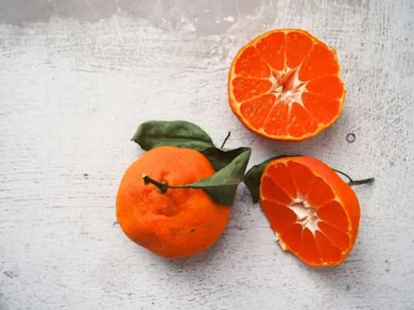 Satsuma_Orange___Organic_Plant_For_Home