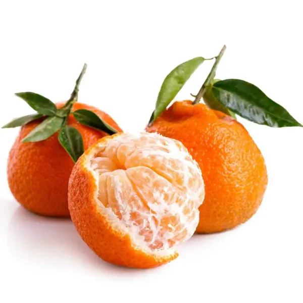 Satsuma_Orange___Organic_Plant_For_Home