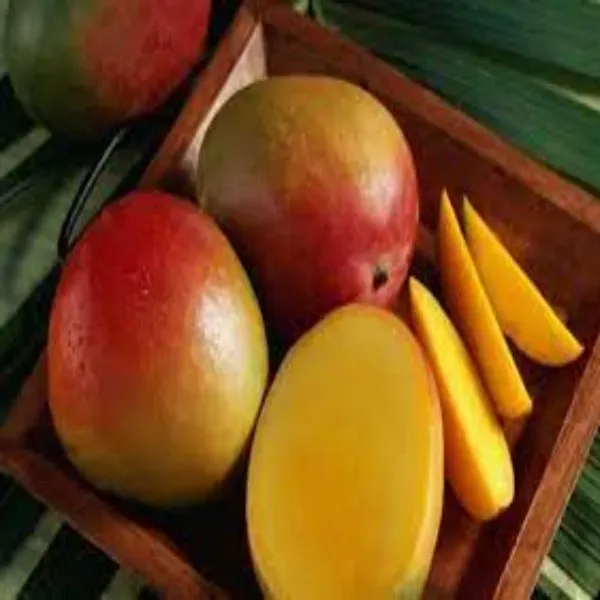 Vietamin_Time_Mango_Organic_Plant