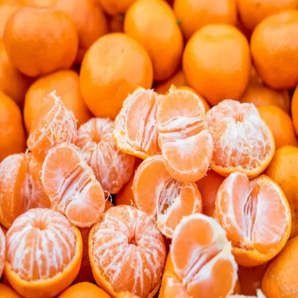 Chinese_Orange_Organic_Plant_For_Home