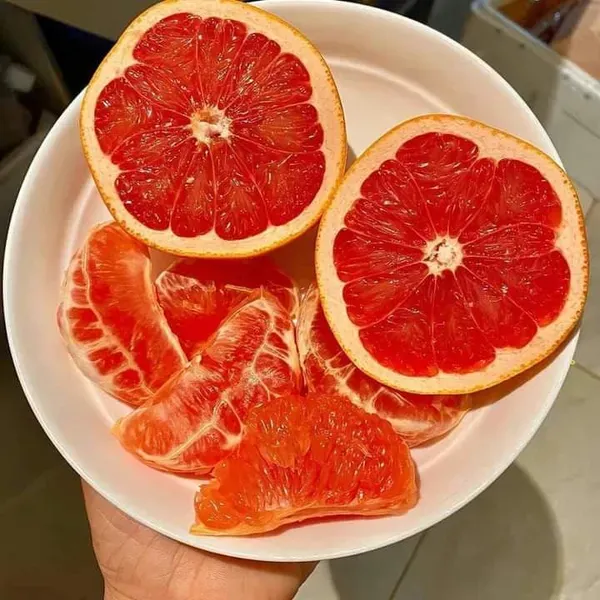 Morocco_Red_Orange_Plant_Organic