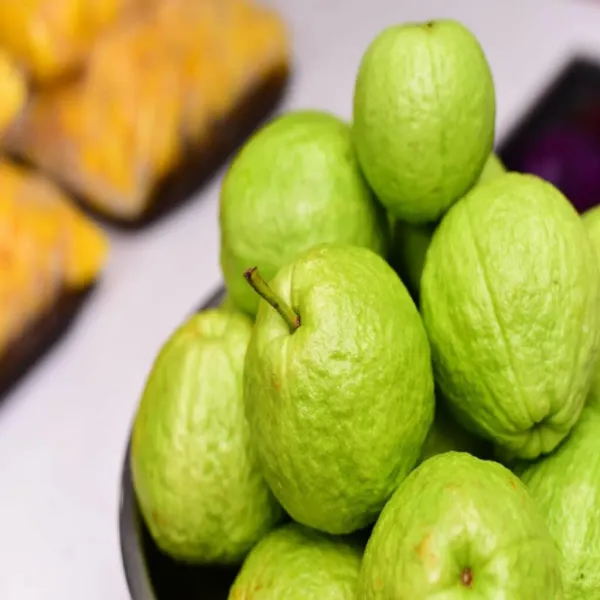 Baruipur_Khaja_Guava_Organic_Plant