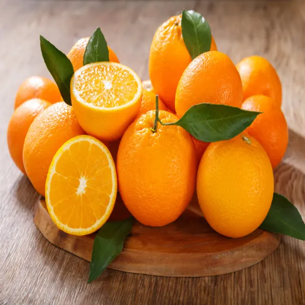 Ornamental_Time_Orange_Plant_Organic