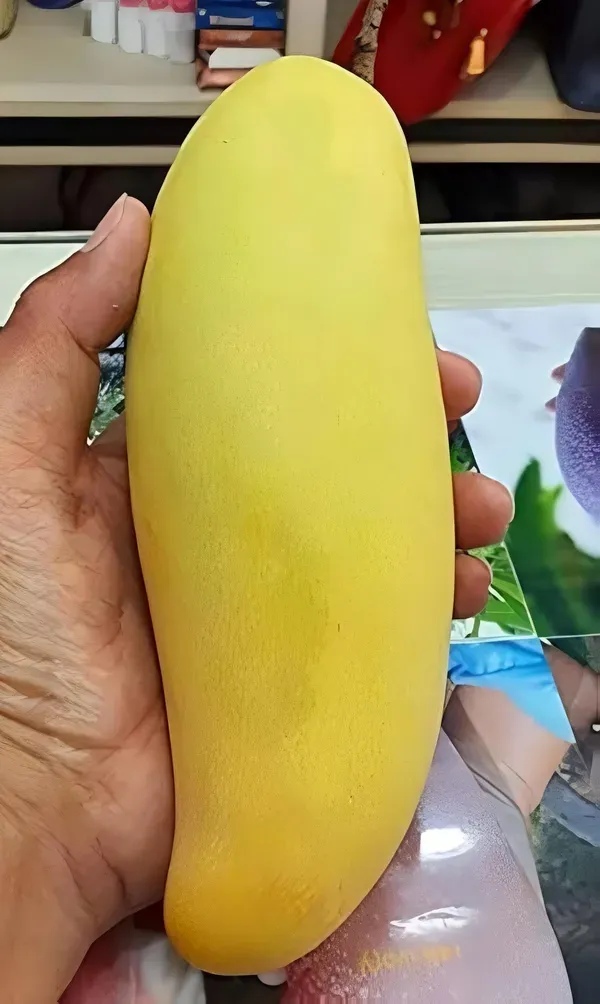 Yellow_Banana_Mango_Plant_Organic