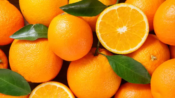 Seedless_Orange___Organic_Plant_For_Home