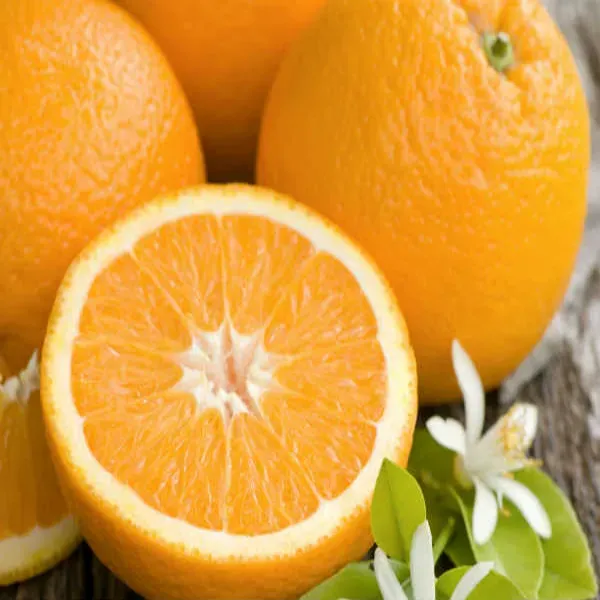 Kashmiri_Kinnu_Orange_Organic_Plant