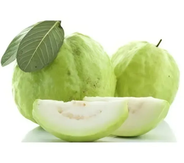 Ornamental_Guava_Organic_Plant_For_Home