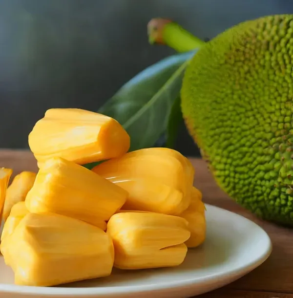 Time_Jackfruit_Plant_Plant_Organic