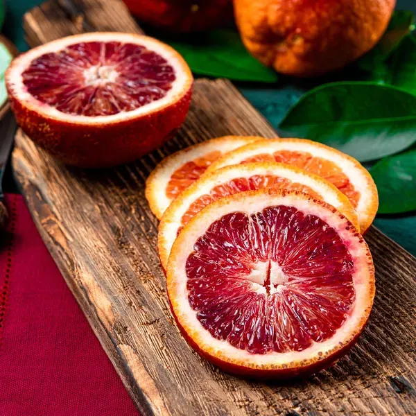 Moro_Blood_Orange_Organic_Plant