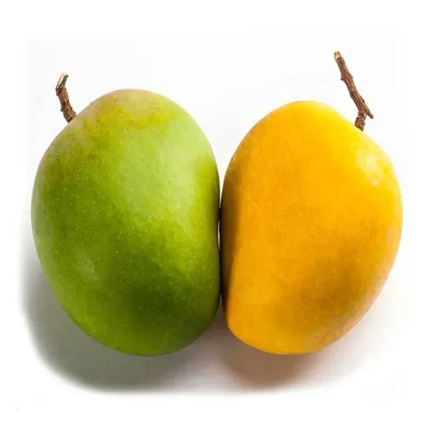 Himsagar_Mango___Organic_Plant_For_Home