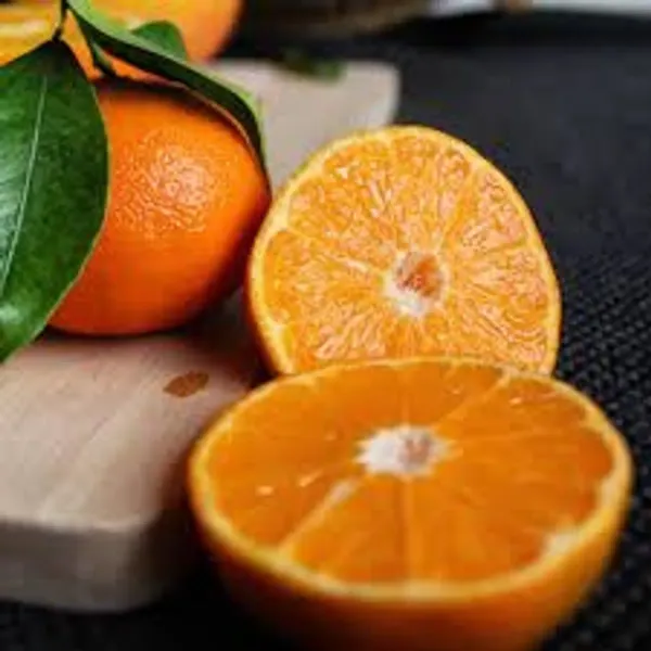 Jaffa_Orange___Organic_Plant_For_Home