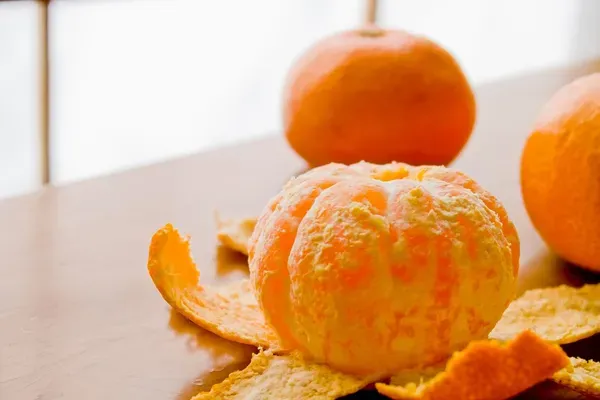 Tancy_Orange___Organic_Plant_For_Home