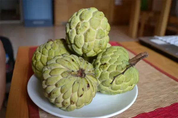 Custard_Apple_Organic_Plant_For_Home